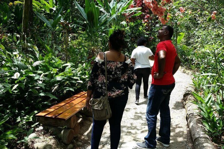 Soufriere Zen Private Experience