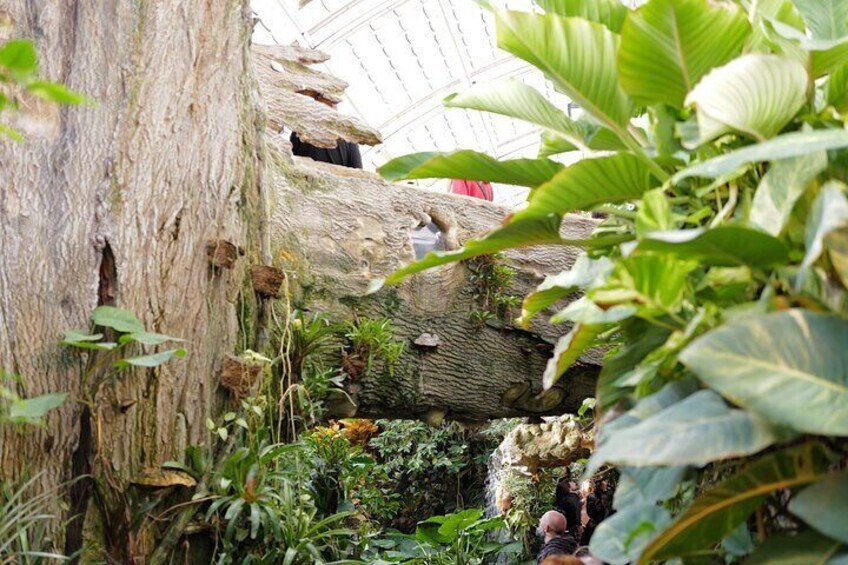 Schmetterlinghaus - Imperial Butterfly House Vienna Admission Ticket