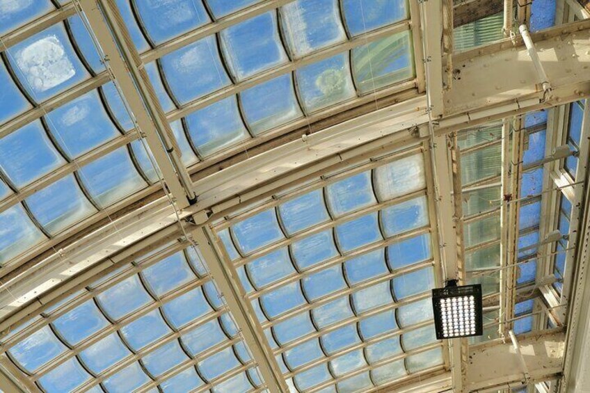 Schmetterlinghaus - Imperial Butterfly House Vienna Admission Ticket