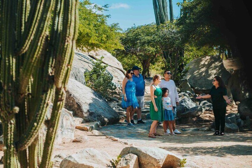 exploring Casibari Rock garden