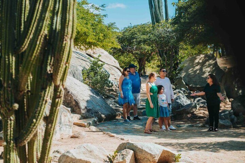 exploring Casibari Rock garden