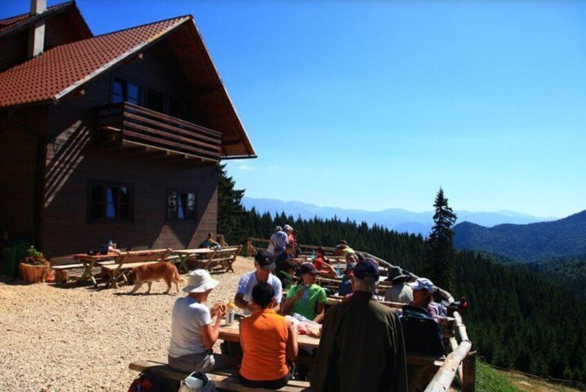 1 day CARPATHIAN PEAKS & CHALETS hike