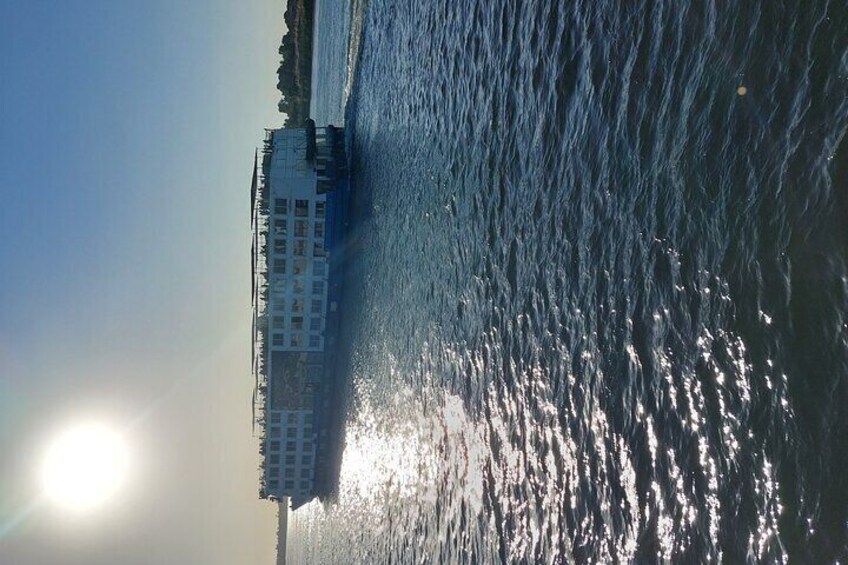 Cruise Sailing 2 Hours in the Nile With Innovative art performances (5 Stars ) 