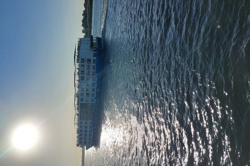 Cruise Sailing 2 Hours in the Nile With Innovative art performances (5 Stars )