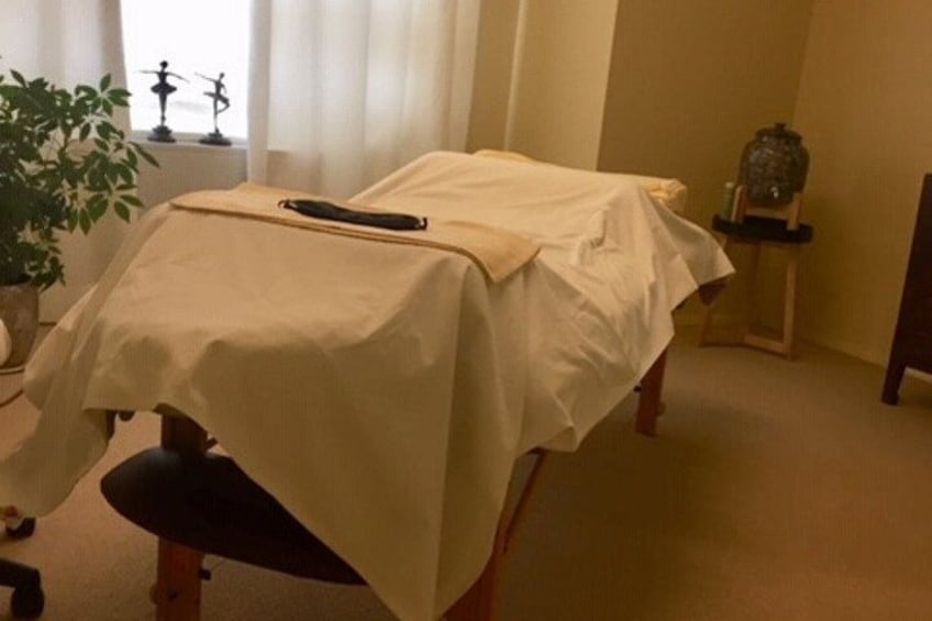 Treatment Room Massage Table Equipped With
BioMats and BioPillow