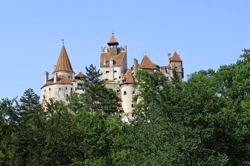 One day tour Dracula Castle Rasnov Fortress from Brasov