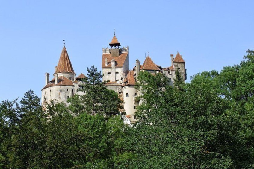 One day tour Dracula Castle Rasnov Fortress from Brasov