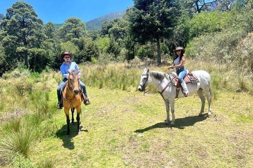 Horseback in the mountains & Food in our ranch
