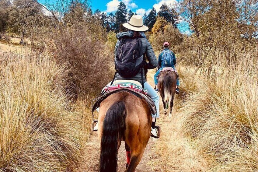 Horseback, Food & Wine - Authentic & VIP Experience
