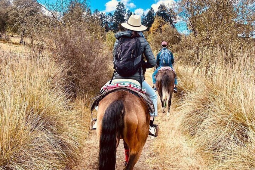 Horseback, Food & Wine - Authentic & VIP Experience