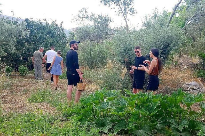 Naxos:Half-day cooking class at Basiliko