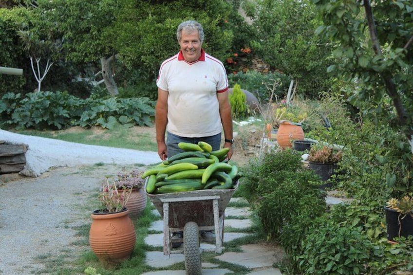 Naxos:Half-day cooking class at Basiliko