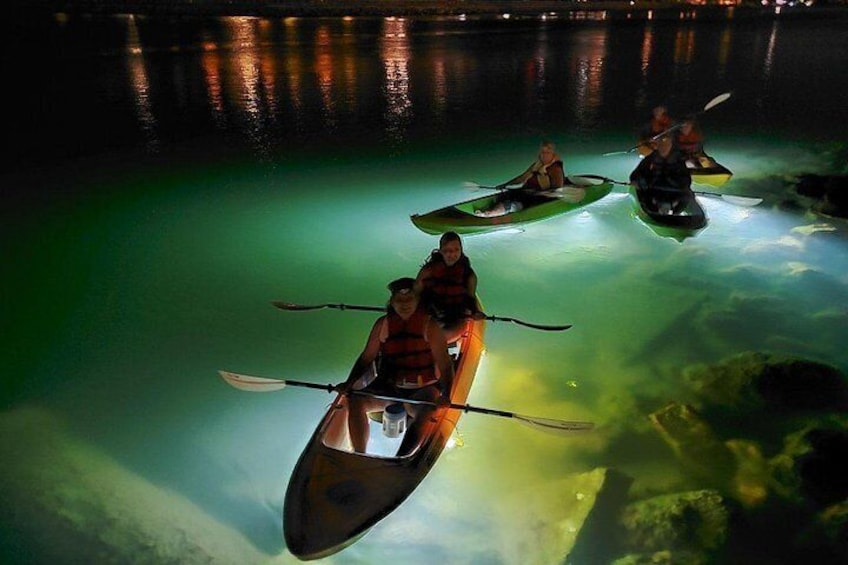 Our Glass Bottom Kayak LED illuminated Night Tour in St. Pete Beach is an awesome experience for families, friends and large groups to explore and feed fish up close!