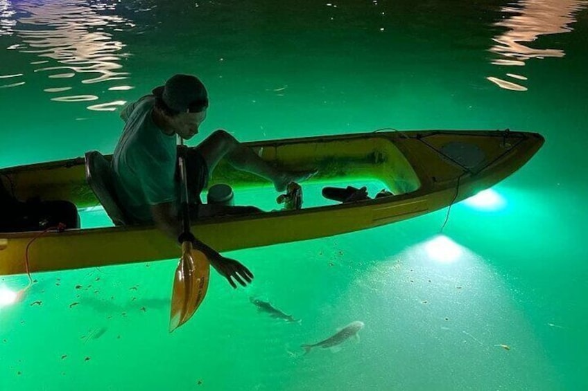 Become a Fish Whisperer for One Magical Night!