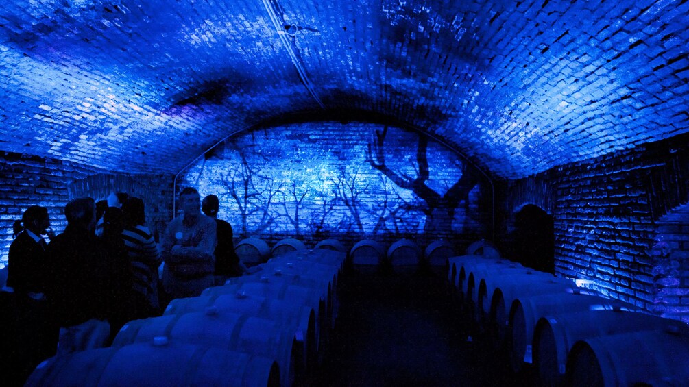Tour group in the blue-lit wine cellar at the Concha Y Toro Winery in Santiago