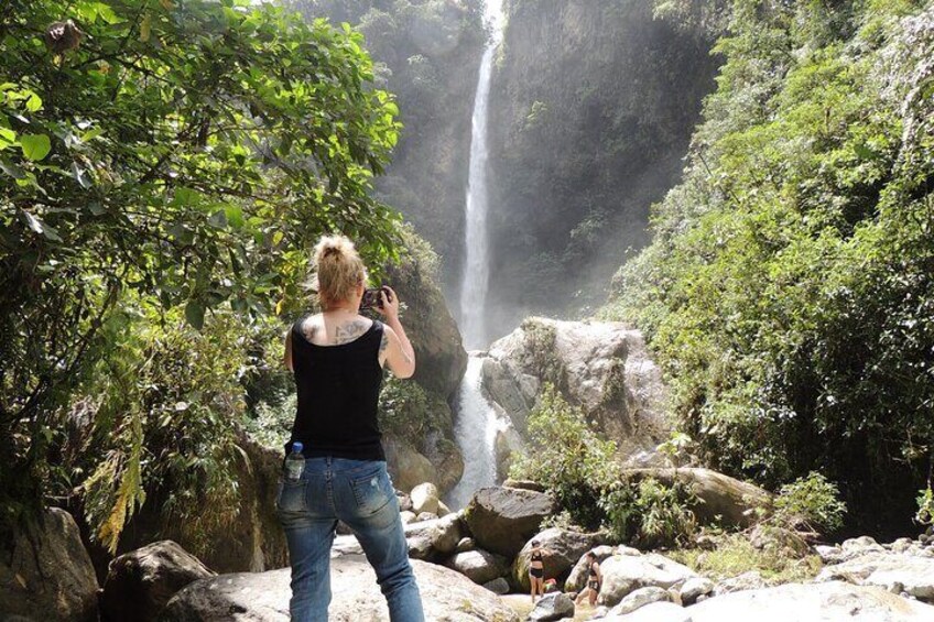 Towering Waterfalls!
