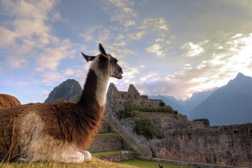 2-Day Sacred Valley of the Incas Tour and Machu Picchu from Cusco