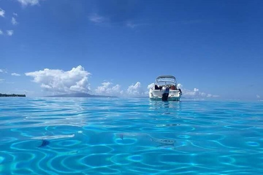 Combo Diving and Snorkeling Half-Day Tour