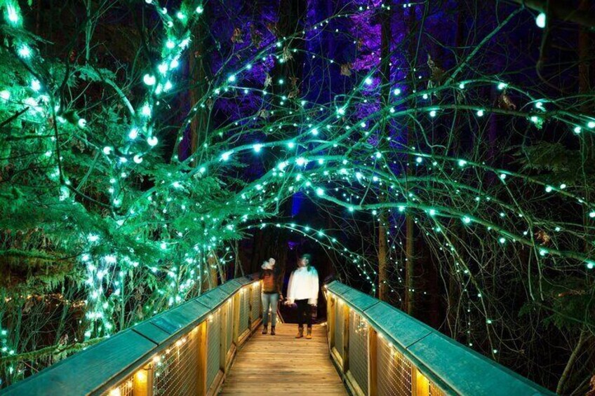 Private Tour: Vancouver Sightseeing and Capilano Suspension Bridge
