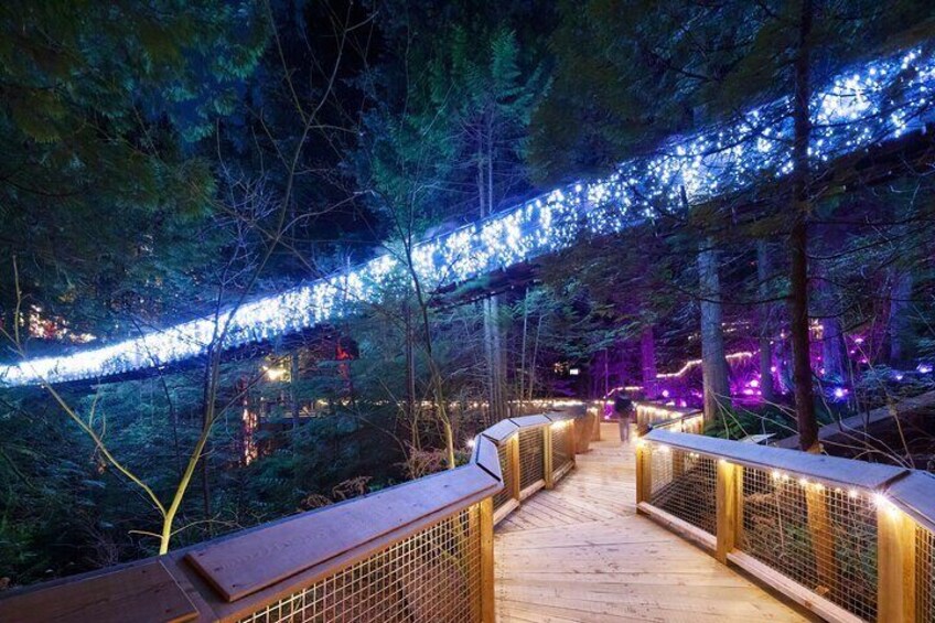 Private Tour: Vancouver Sightseeing and Capilano Suspension Bridge