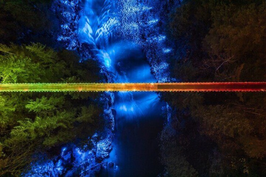 Private Tour: Vancouver Sightseeing and Capilano Suspension Bridge