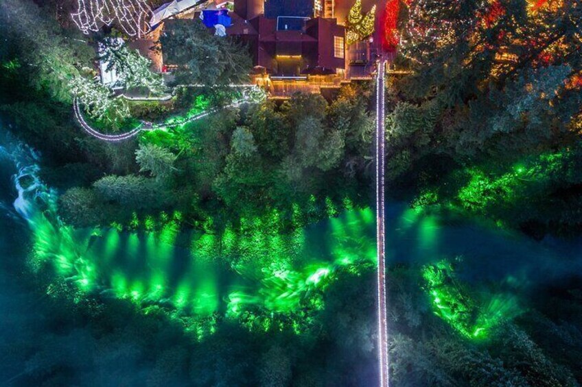 Private Tour: Vancouver Sightseeing and Capilano Suspension Bridge