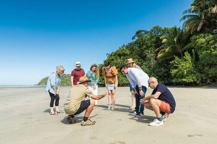 Cape Tribulation