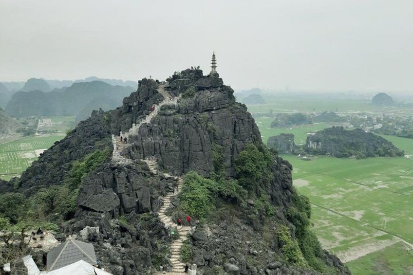 Mua cave