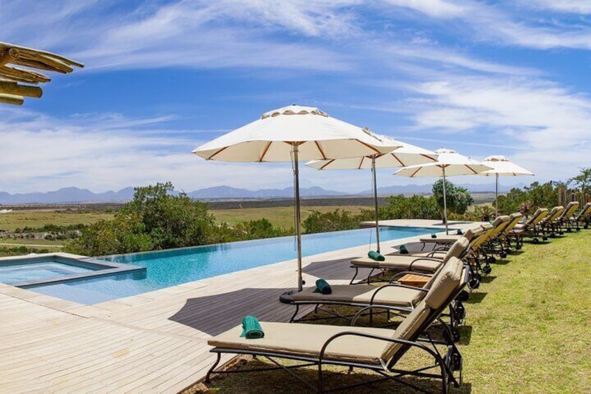 Adult pool