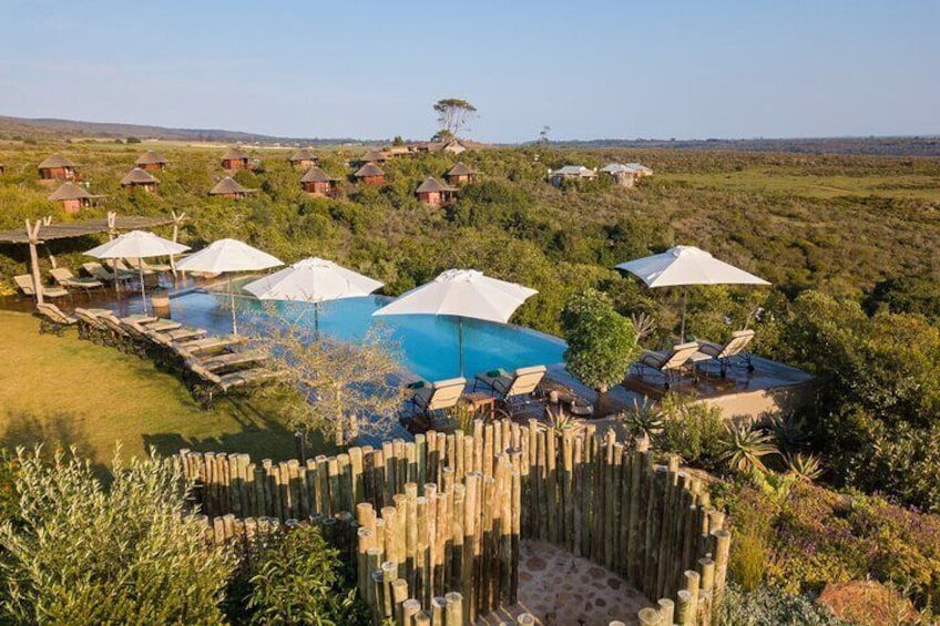 2 Day Safari Experience from Cape Town