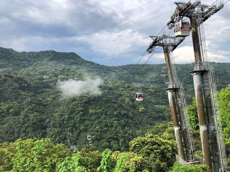 Pinglin Tea Culture & Maokong Day Tour from Taipei