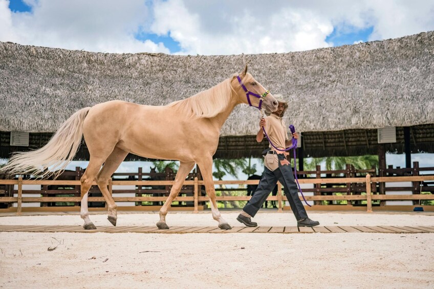 Xploration Animal Encounters from Punta Cana