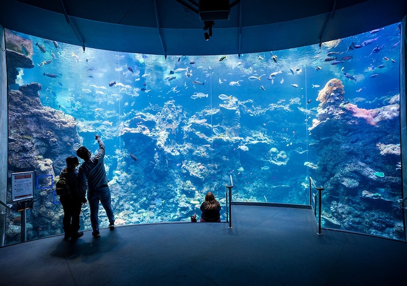 California Academy of Sciences General Admission