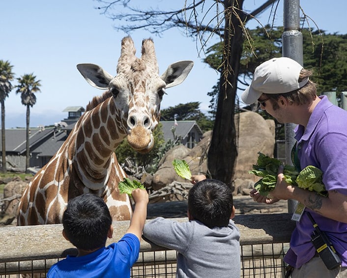 San Francisco CityPASS: Admission to Top 4 Attractions