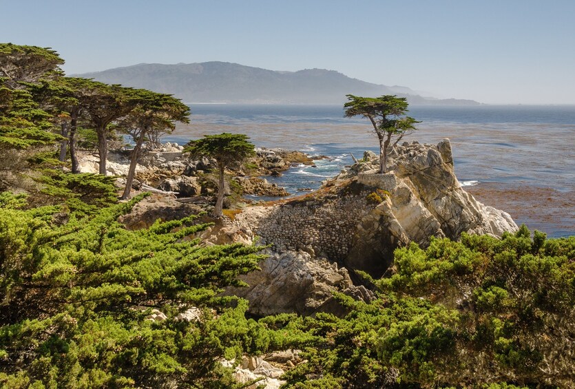 Monterey, Carmel & Pacific Coast Highway - Full Day Tour