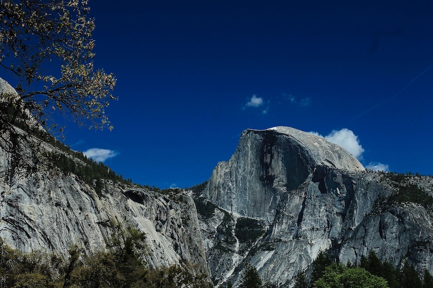 Yosemite National Park Valley Highlights Tour 