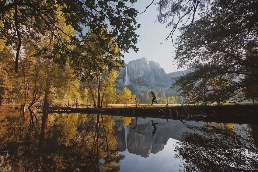 Yosemite National Park Valley Highlights Tour 
