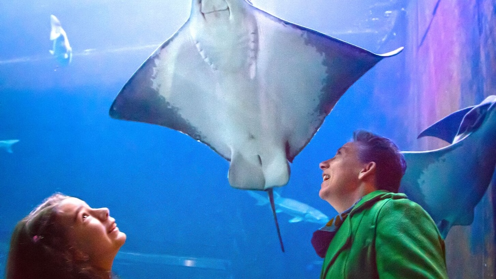 Go City: San Francisco All-Inclusive Pass with 25+ Attractions