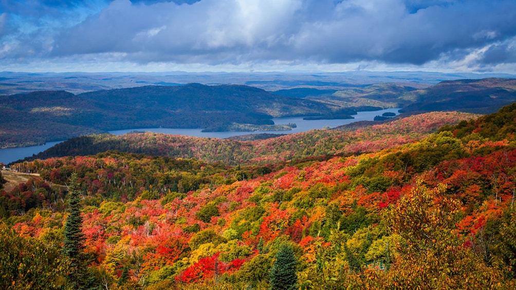 panoramic shot across the Laurentian Mountains showing red, gold and orange foliage 
