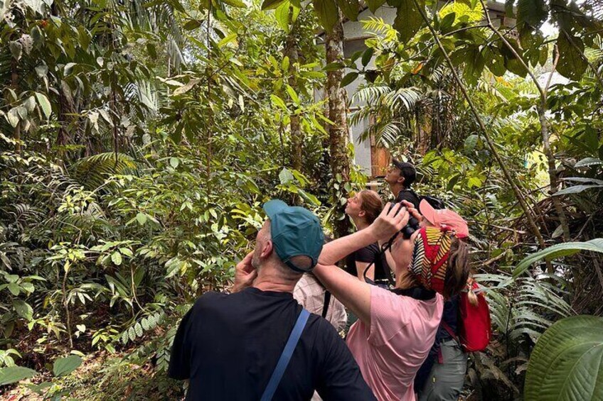 Wildlife Tour