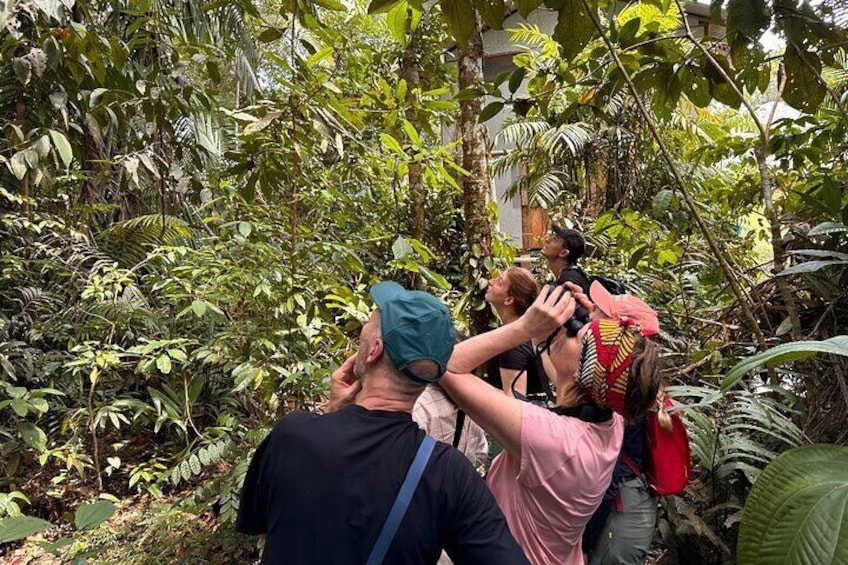 Wildlife Tour