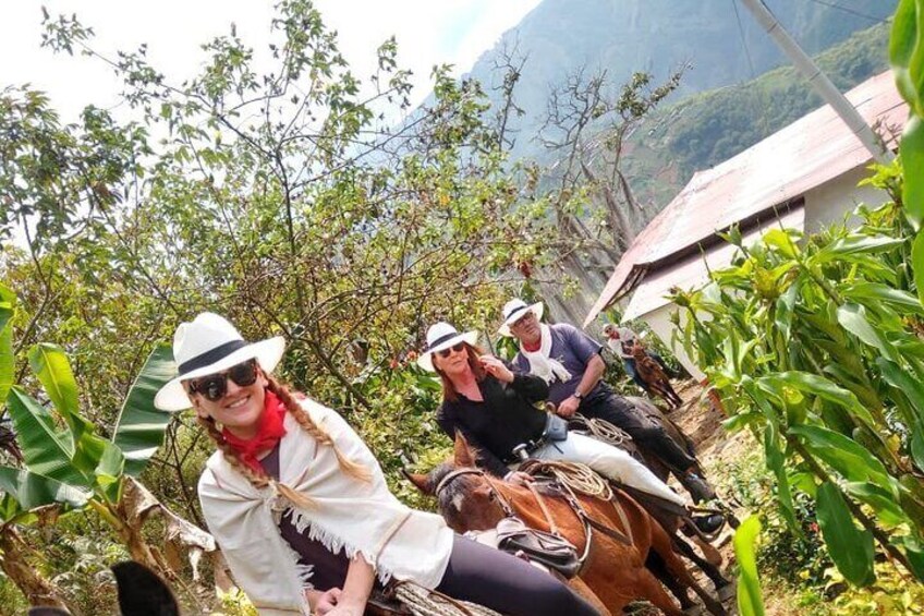 Coffee Tour In Horse Riding In Medellin