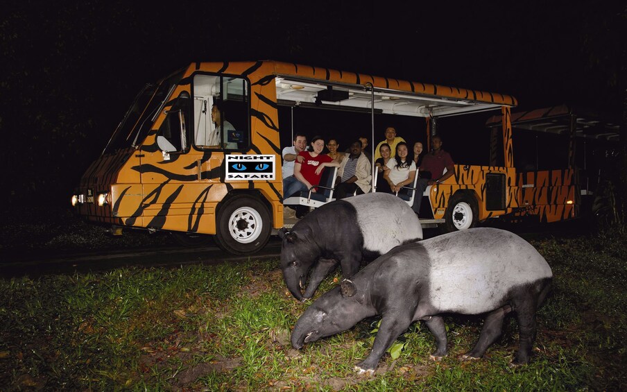 Wildlife River Wonders and Night Safari (combo)
