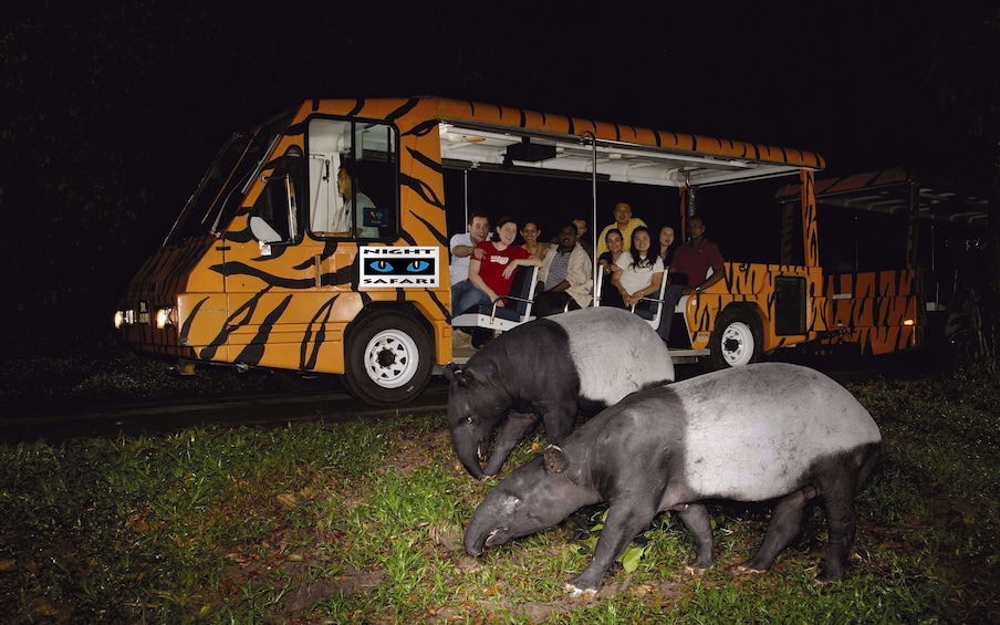 Wildlife River Wonders and Night Safari (combo)