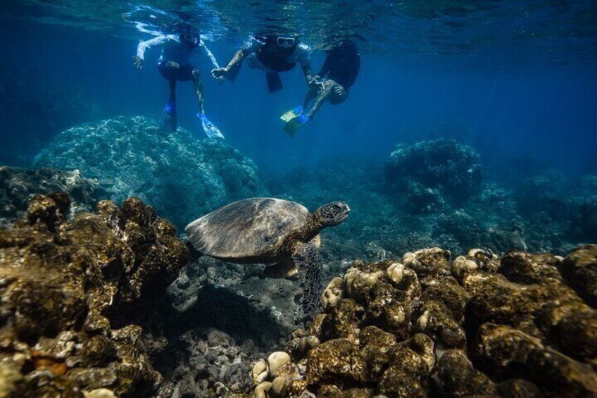 E-Scooter Snorkel With Photo and Video At Turtle Town