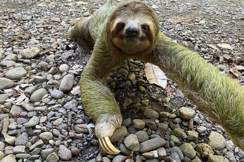 Manuel Antonio National Park Guided Tour