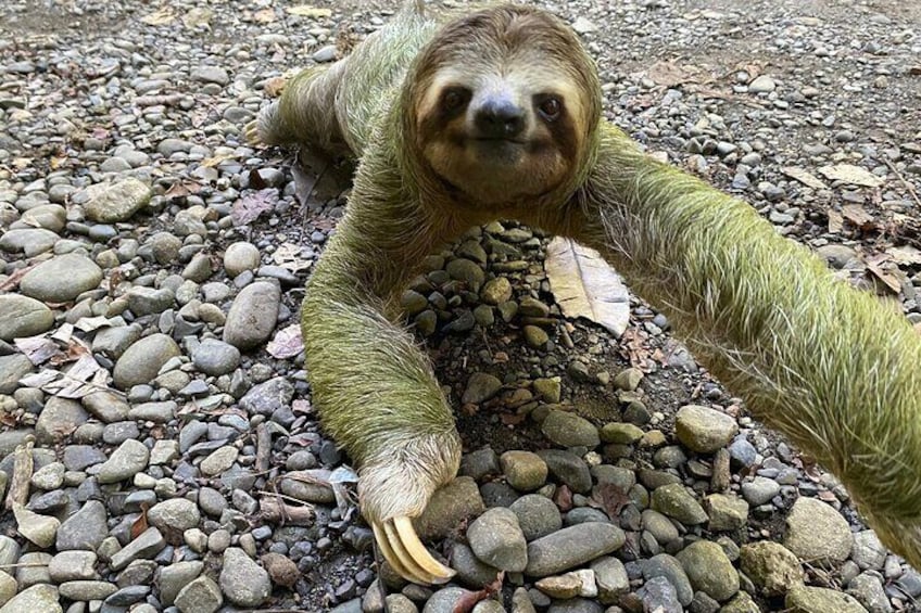 Manuel Antonio National Park Guided Tour
