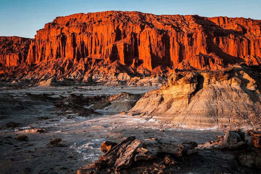 Visit to the Ischigualasto Provincial Park
