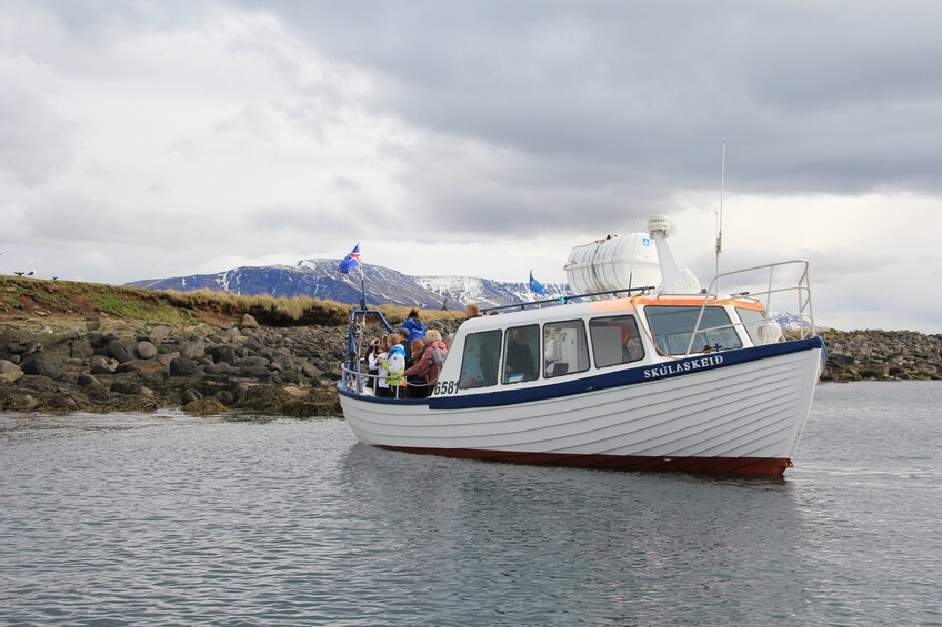 Puffin Watching Boat Tour
