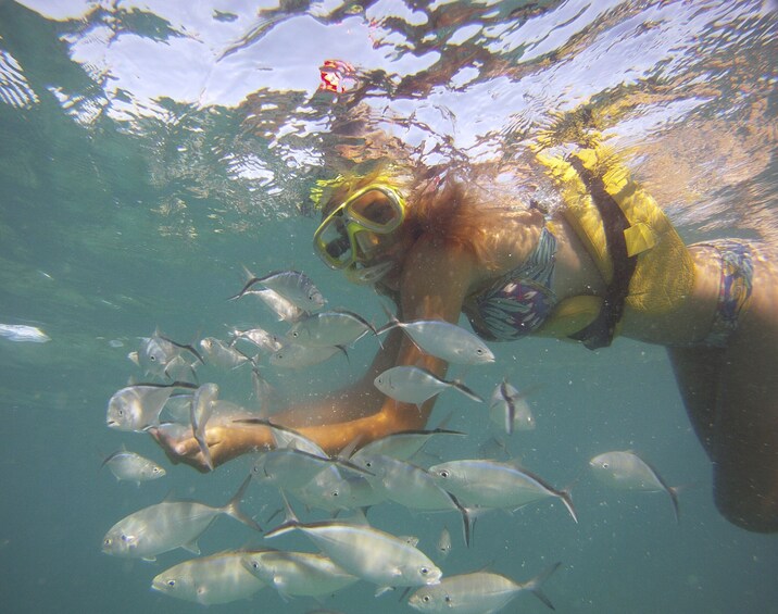 Woman snorkeling underwater in Punta Cana 